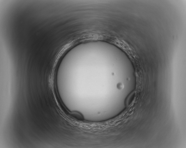 X0000116030003200911271145