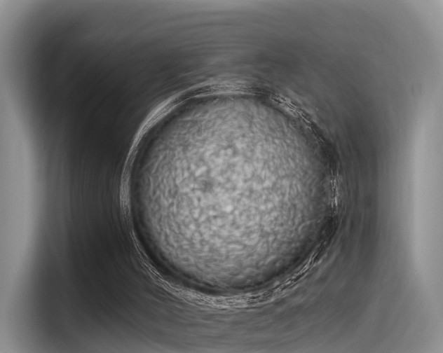 X0000116030004200911271145