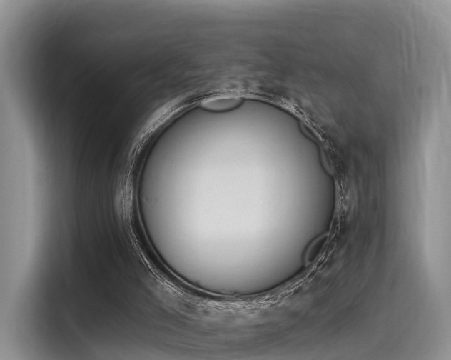 X0000116030005200911271145