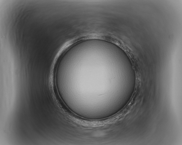 X0000116030006200911271145