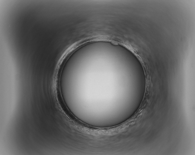 X0000116030007200911271145