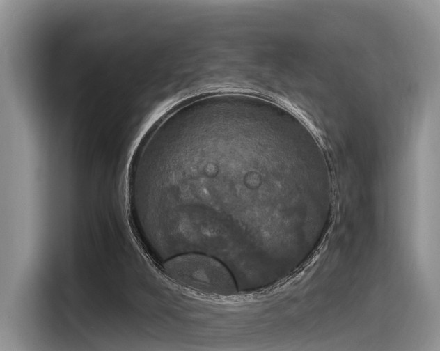 X0000116030008200911271145