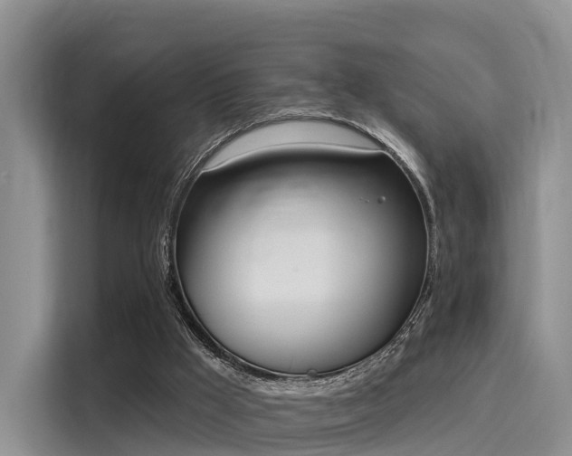 X0000116030009200911271145