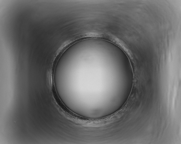 X0000116030011200911271145