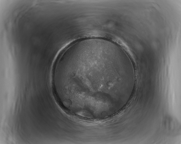 X0000116030012200911271145