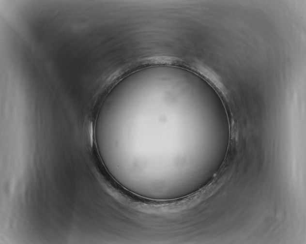 X0000116030013200911271145