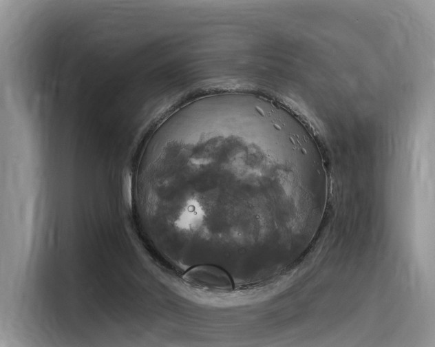 X0000116030014200911271145