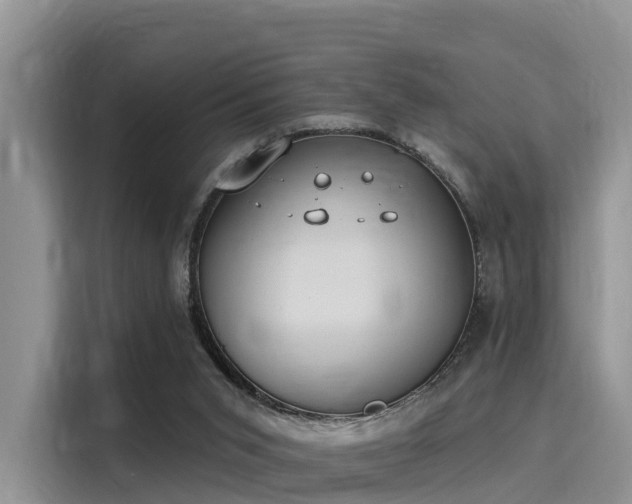 X0000116030015200911271145