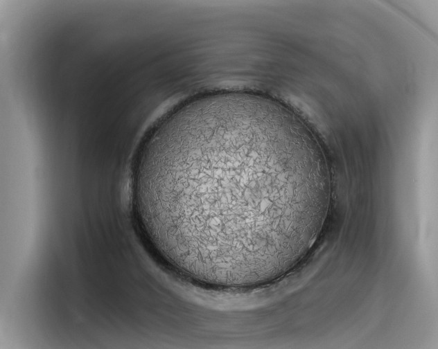 X0000116030016200911271145