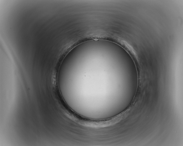 X0000116030017200911271145