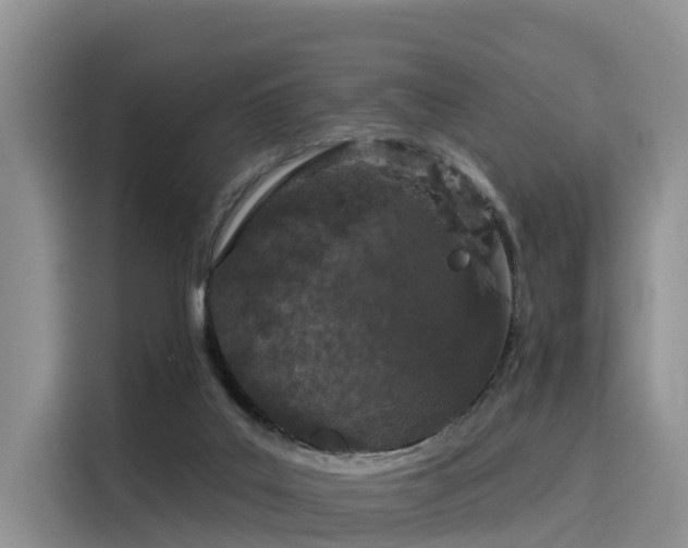 X0000116030019200911271145