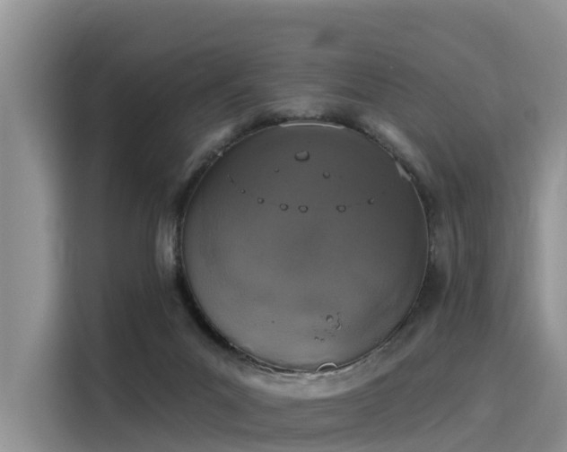 X0000116030023200911271145