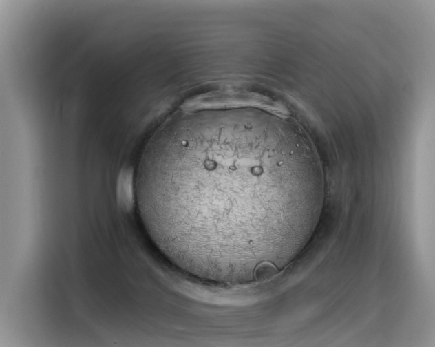 X0000116030028200911271145