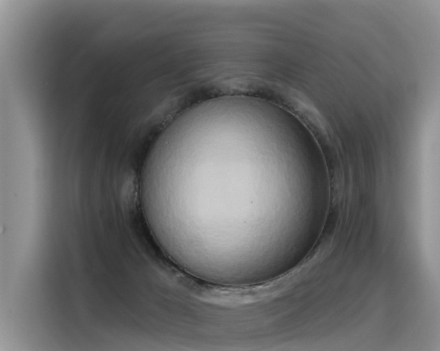 X0000116030029200911271145