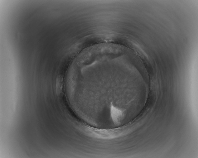 X0000116030030200911271145