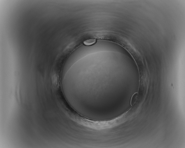 X0000116030031200911271145