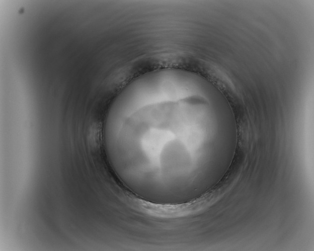 X0000116030034200911271145