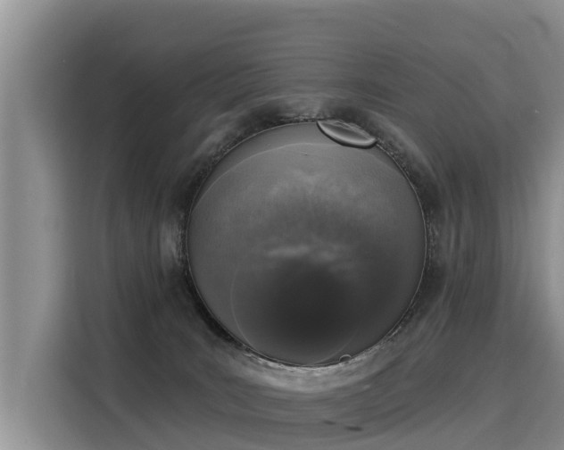 X0000116030035200911271145