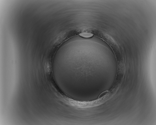 X0000116030039200911271145