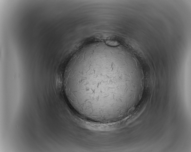 X0000116030040200911271145