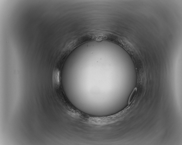 X0000116030041200911271145