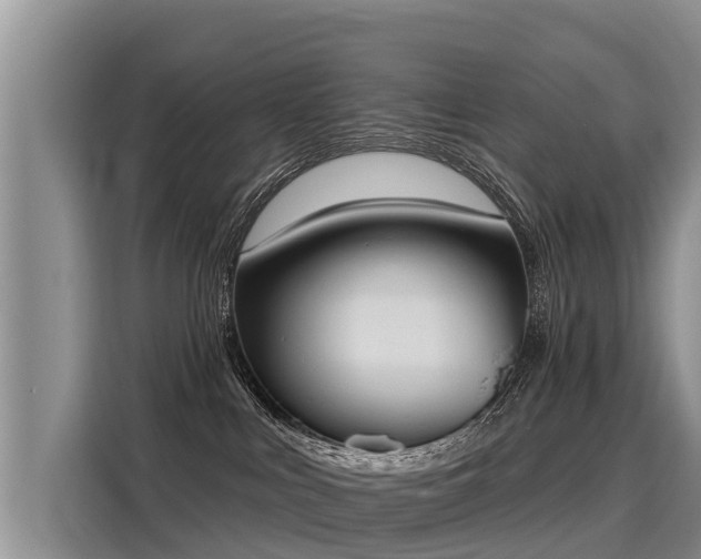 X0000116030043200911271145