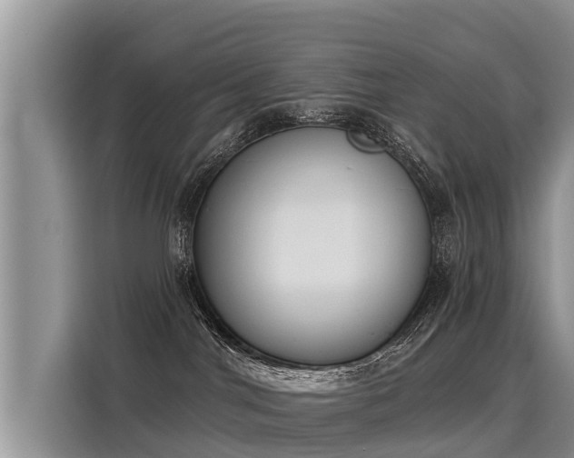 X0000116030044200911271144