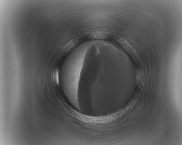 X0000116030046200911271144