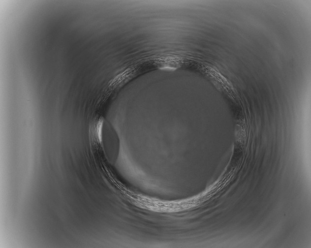 X0000116030047200911271144