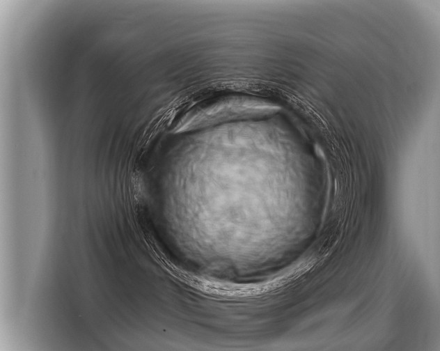 X0000116030048200911271144