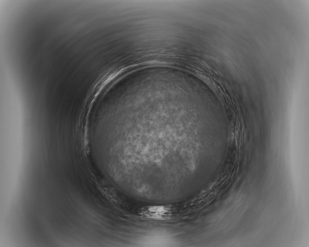 X0000116030050200911271144