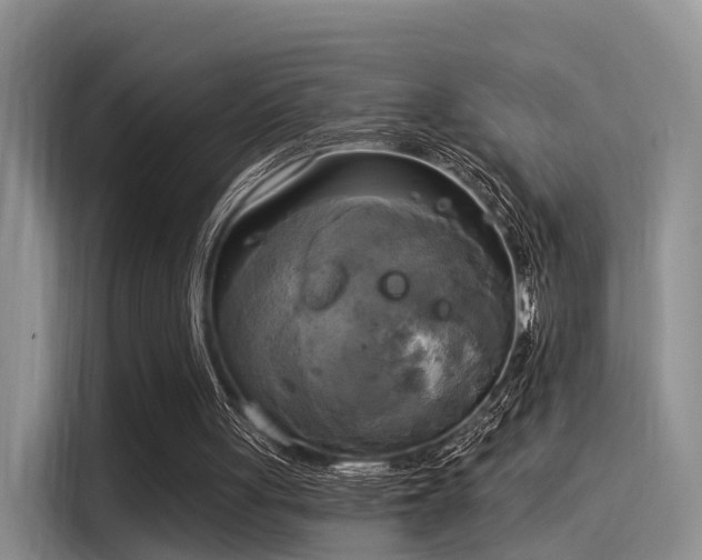 X0000116030051200911271144