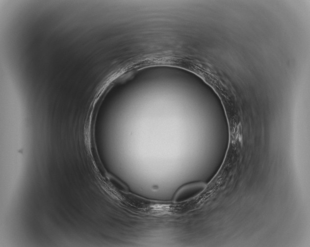 X0000116030052200911271144