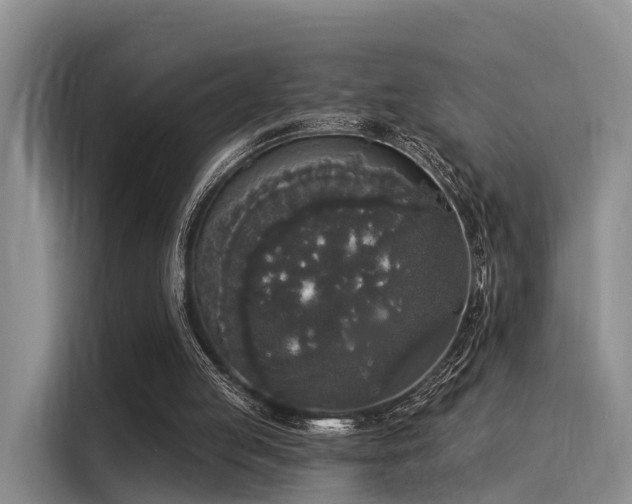 X0000116030053200911271144