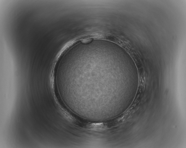 X0000116030054200911271144