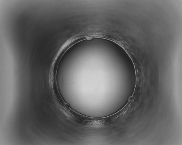 X0000116030056200911271144