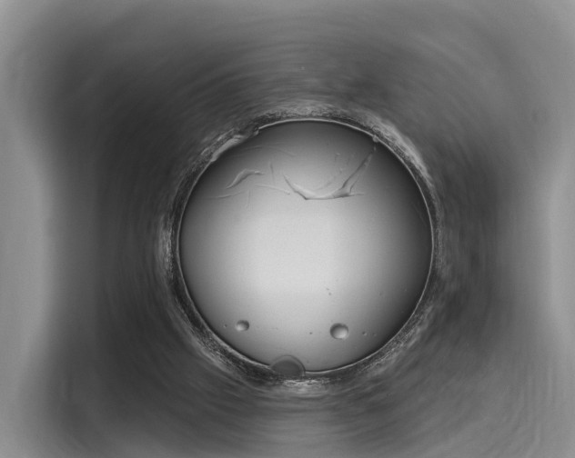 X0000116030057200911271144