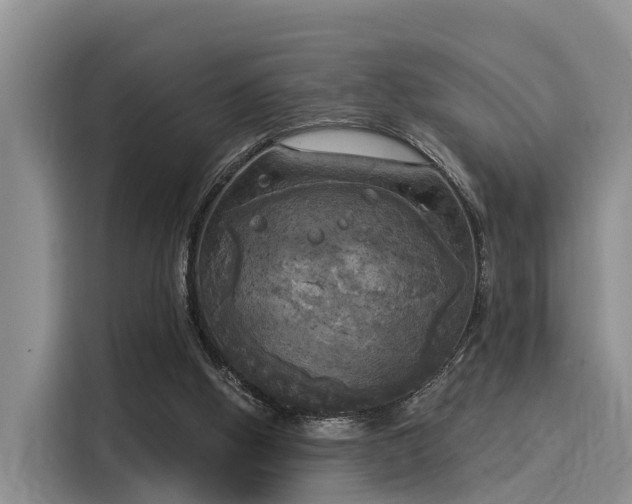 X0000116030058200911271144