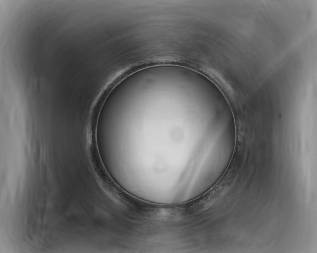 X0000116030060200911271144