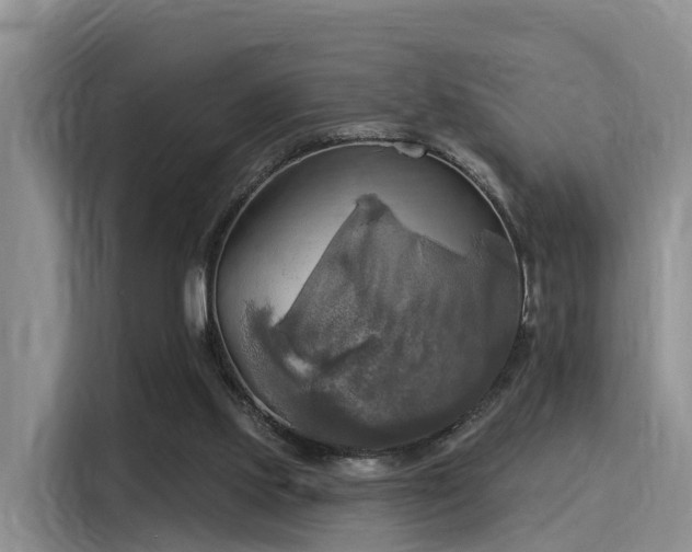 X0000116030061200911271144