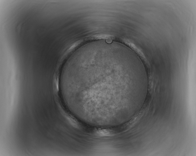 X0000116030062200911271144