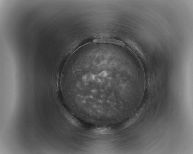 X0000116030065200911271144