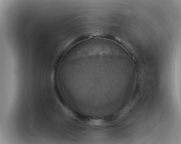 X0000116030066200911271144