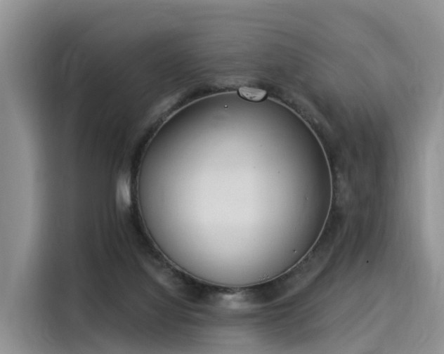 X0000116030068200911271144