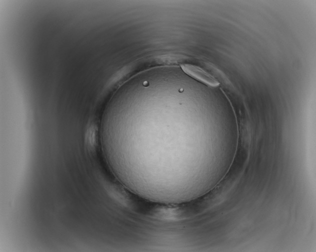 X0000116030071200911271144