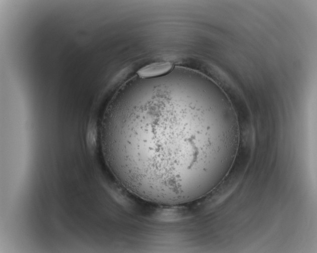 X0000116030072200911271144