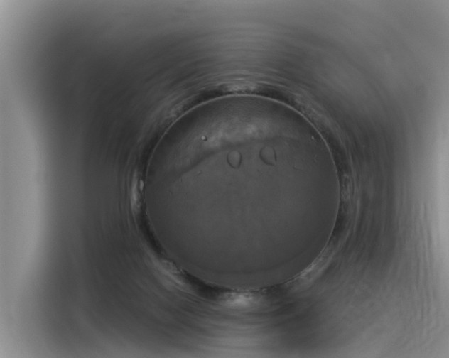 X0000116030074200911271144