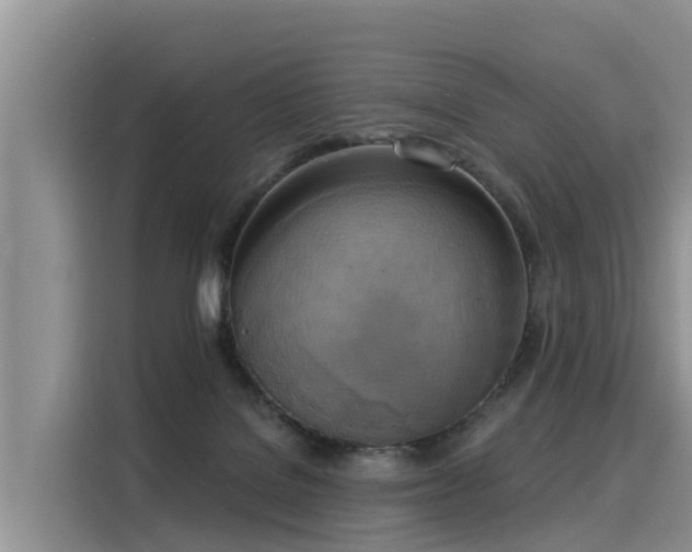 X0000116030076200911271144