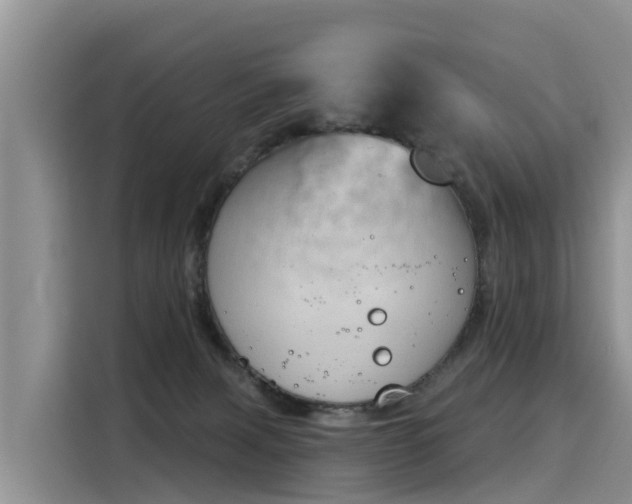 X0000116030079200911271144