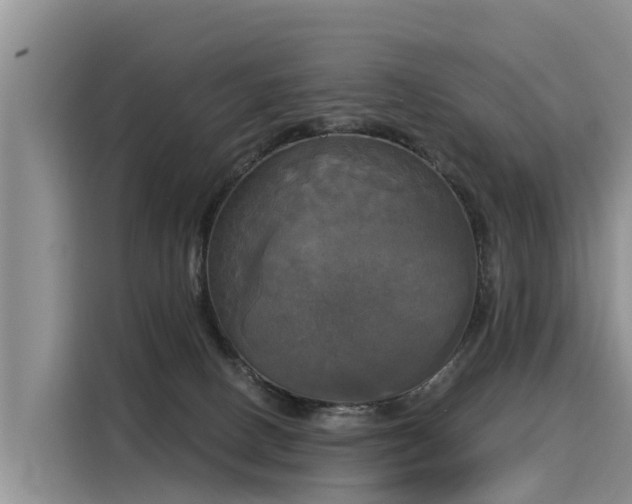 X0000116030082200911271144